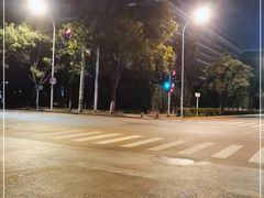 -昌勝香港深井烧鹅(新年华店)