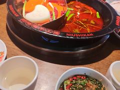 -牛市坎火锅(建设路店)