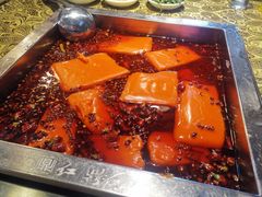 -红鼎坊·老成都火锅(新南门店)