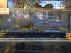 -顺峰渔港中国人的餐厅
