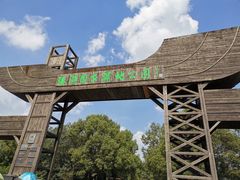 -溱湖国家湿地公园