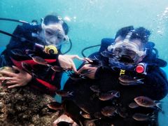 -西涌国际滨海旅游区