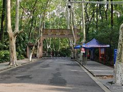 -灵谷景区