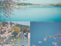 -颐和园