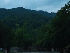 -天目山大树王景区