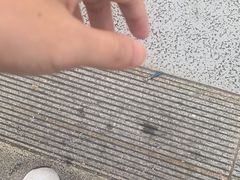 -西湖文化广场