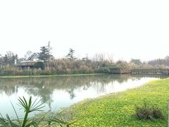 -桤木河湿地公园