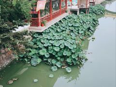 -七宝古镇