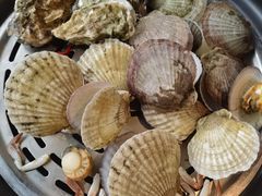 -蓝珊甄选海鲜自助·火锅大排档(近阿那亚店)