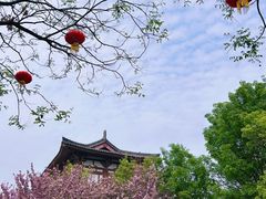 -西安青龙寺遗址景区