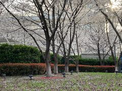 -锦江乐园(地铁站)