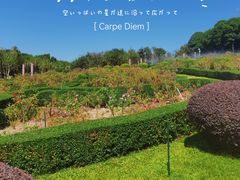-紫马岭公园