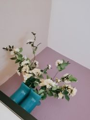 -香秀空间科技抗衰·美容中心