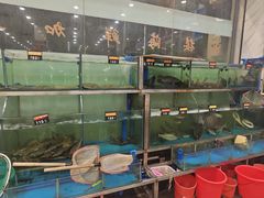 -大湾区鑫南酒家·粤菜(黄岐店)