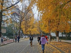 -四川大学(华西校区)