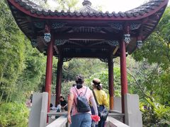 -乌山风景区