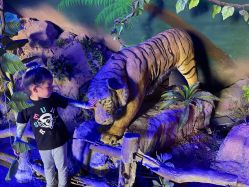 -宝燕乐园(闵行旗舰店)