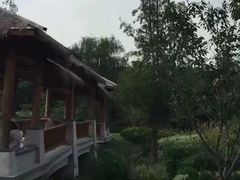 -同里国家湿地公园