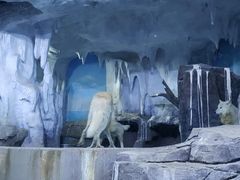 -多彩贵州城极地海洋世界