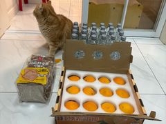 -山姆会员商店(上海浦东店)