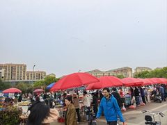 -雪绒花路停车场