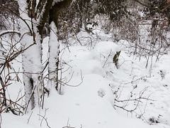 -九峰山