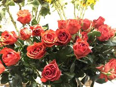 -双季花艺园艺市场(浦东店)
