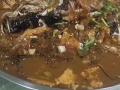 -庆岭迎宾园正宗活鱼馆