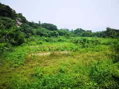 -南丫岛