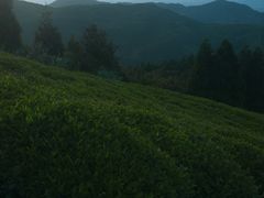 -东白山