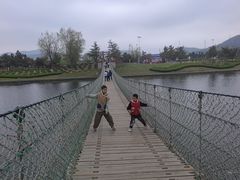 -羊亭河湿地公园