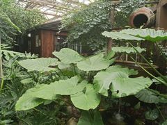 -金稼园·金平湖农家菜