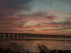 -宝安西湾红树林湿地公园