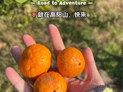 -南北湖风景区