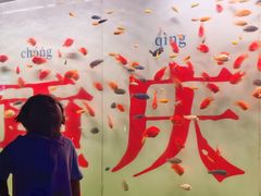 -重庆欢乐海底世界