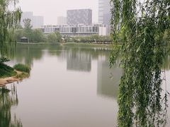 -大兴滨河森林公园