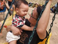 -合肥滨湖国家森林公园