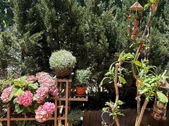 -慢丽江·云南野生菌土鸡锅(付家庄店)