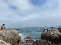 -西涌国际滨海旅游区