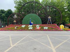 -呀路古热带植物园