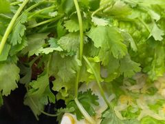 -蒙星月涮肚火锅城(宏运家园店)
