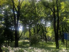 -玲珑塔公园