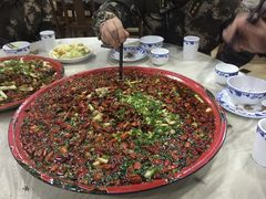 -东吴霸王兔(松青路店)
