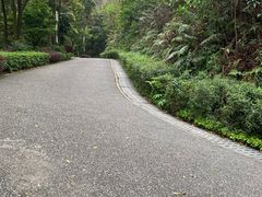-广州市帽峰山景区