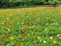 -秦皇岛野生动物园