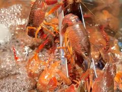 -苏格里岛自助烤肉海鲜火锅(成都金牛万达店)