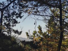 -崂山九水游览区