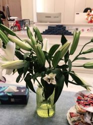 -静博士·养生养颜