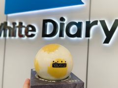 -白色日记·手作酸奶(麦凯乐店)