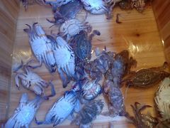 -蓝海国际大饭店·蓝钻自助百汇(兰山店)